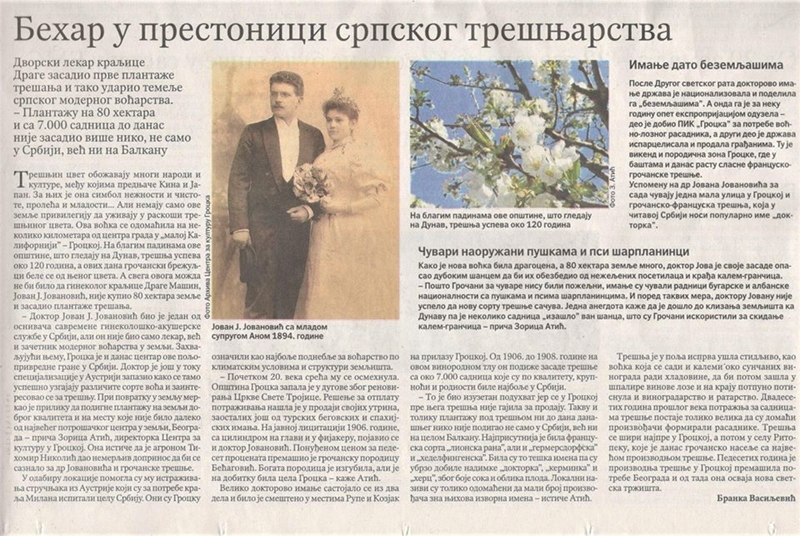 Дневни лист ПОЛИТИКА: Бехар у престоници српског трешњарства