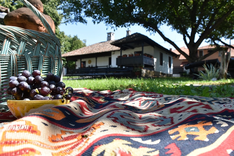 ПИКНИК у Ранчићевој кући