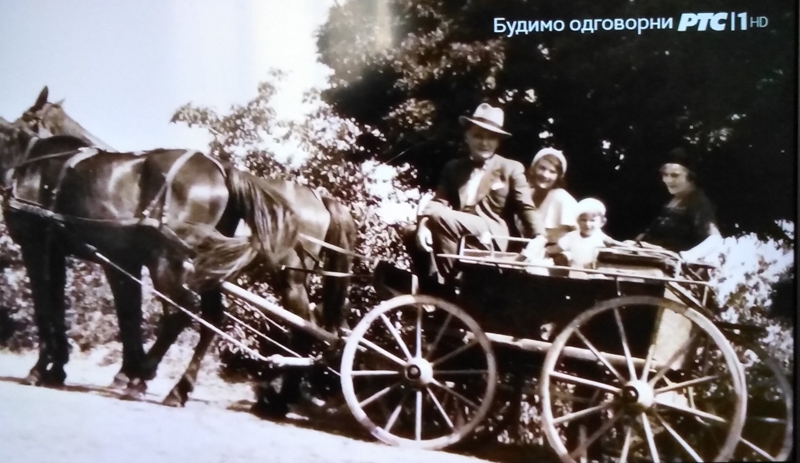 Успомену на личност и дело заборављеног лекара, гинеколога-акушера др Јована Јовановића, чува - трешња „докторка“